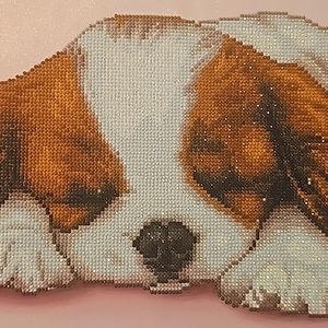 Diamond Art Painting Partial Canvas Finished painting